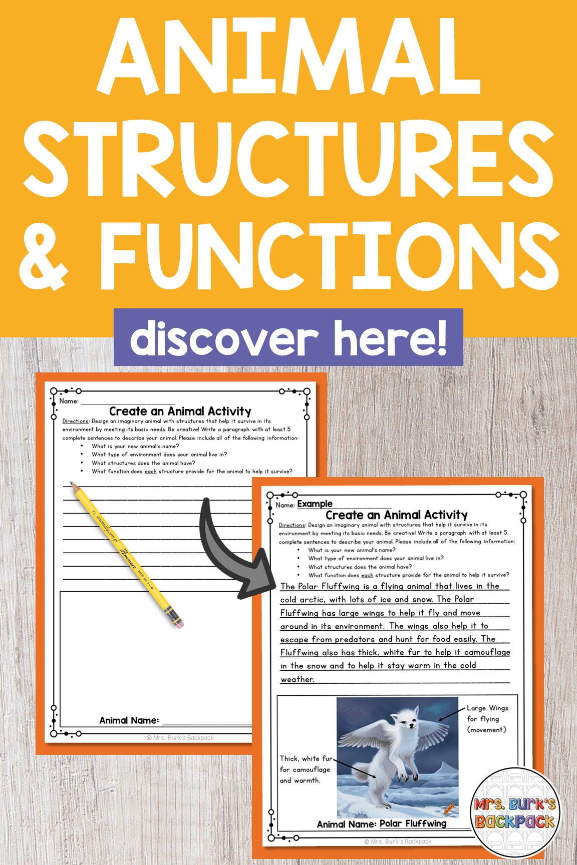 animal structures and functions create an animal activity