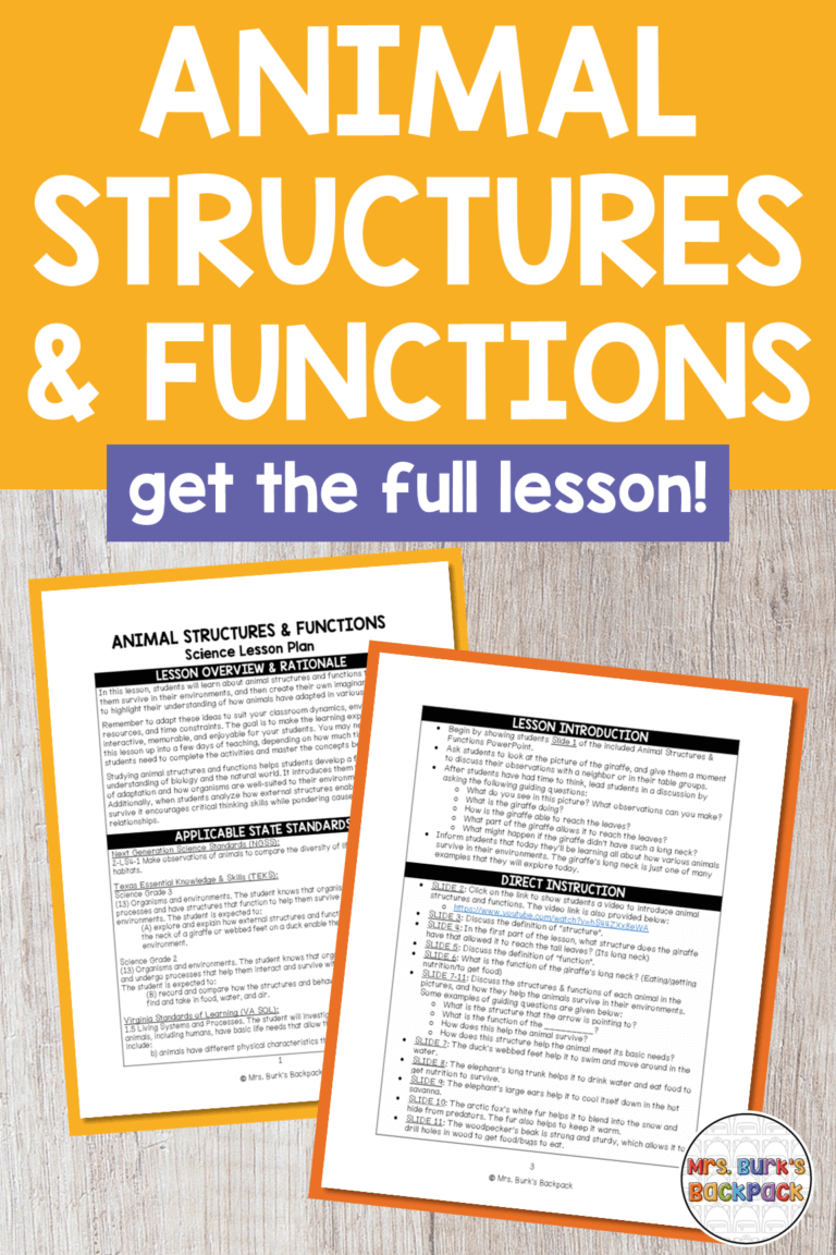 Exploring Animal Structures & Functions: A 3rd Grade Lesson Plan