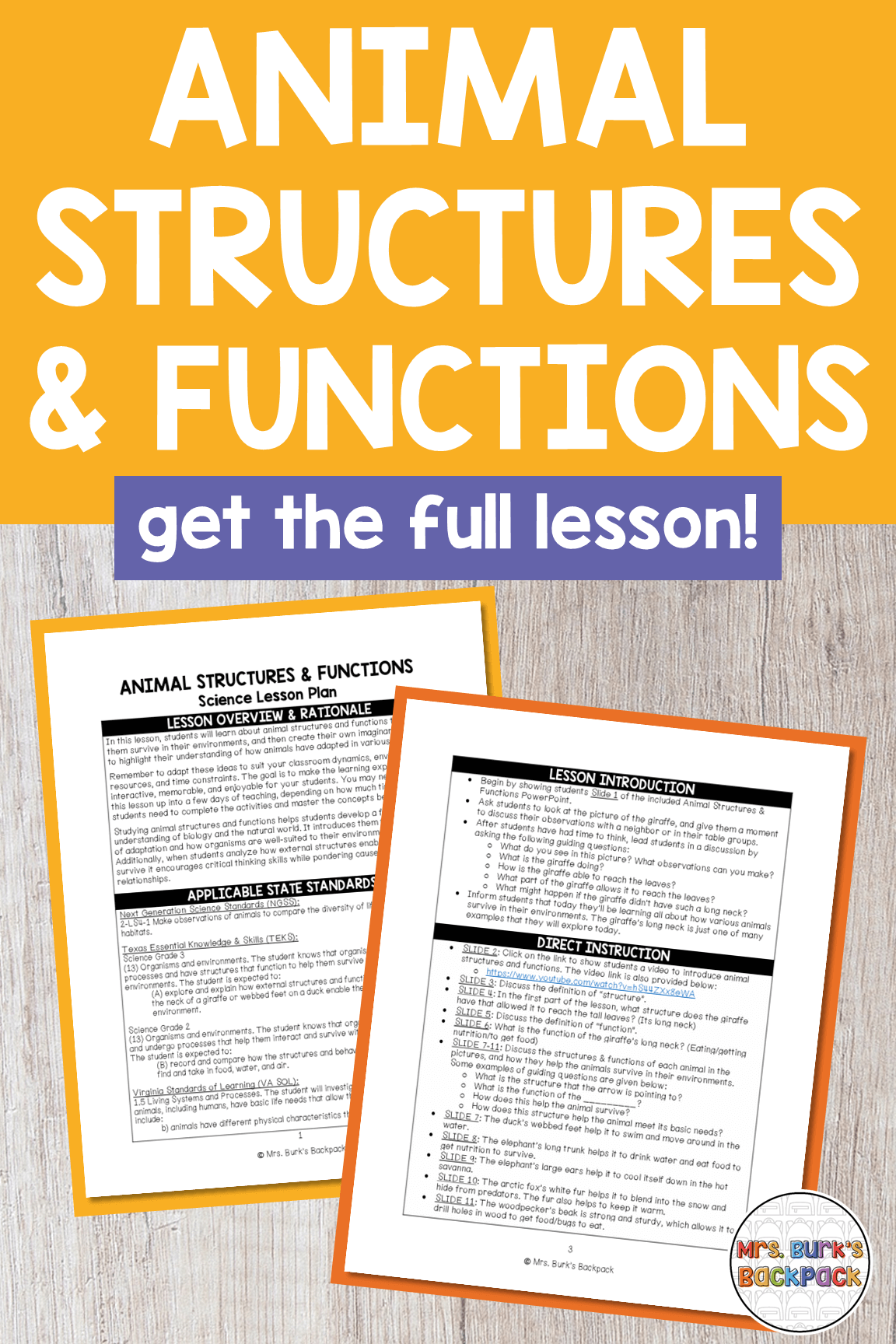 Animal Structures & Functions - get the full lesson!