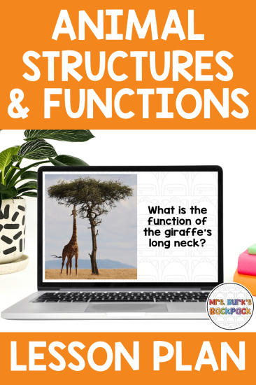 animal structures and functions lesson plan powerpoint